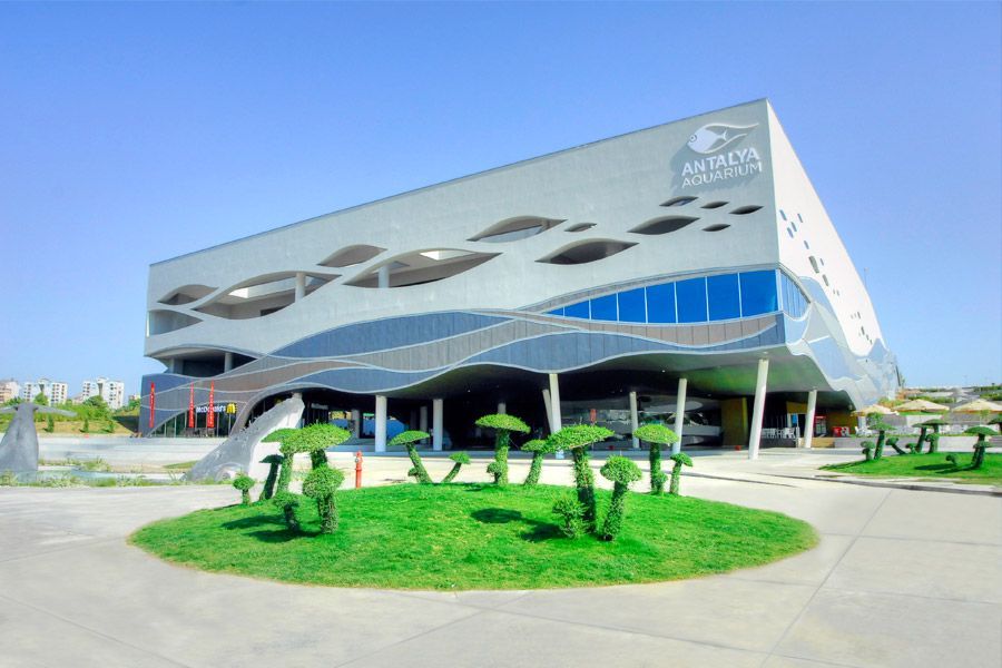 aquarium-dis-gorunum.jpg aquarium-dis-gorunum.jpg